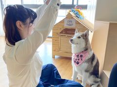 -Husky Go! 哈士奇体验馆·宠物咖啡厅狗咖