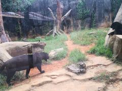 -杭州野生动物世界