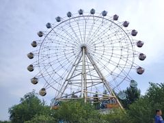-白洋淀风景区