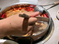 -椒王