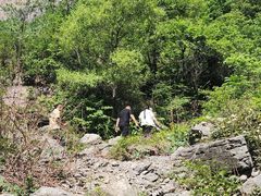 -太行锡崖沟旅游度假区