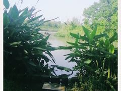 -九里河湿地公园