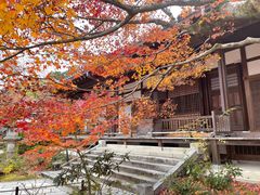 -常寂光寺