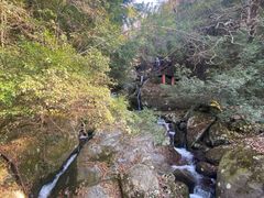 -大围山国家森林公园