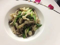 -鲸励母婴月嫂(望京店)