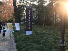 -南京十朝历史文化园-停车场
