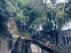 -鲁镇