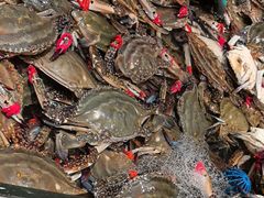 -一方渔歌蒸汽海鲜自助(文化路万达广场店)