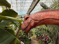 -沈阳植物园