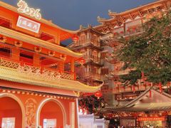 -越秀西湖花市(广州城市广场花卉店)