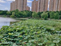 -金银湖国家城市湿地公园