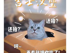 -麦当劳(海岸城店)