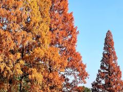 -宁波市保国寺古建筑博物馆