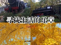 -玲珑塔公园