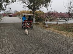 -上海海湾国家森林公园