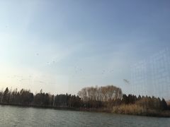 -溱湖国家湿地公园