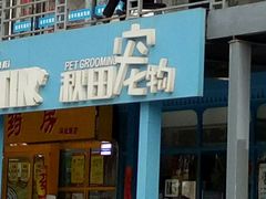 -读宠于你·约克夏比熊·睫角守宫·爬宠售卖(高新店)