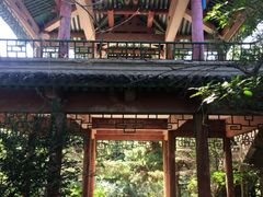 -沈阳辉山风景区