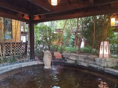 -杭州第一世界大酒店·云曼温泉
