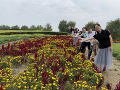 -梁鸿国家湿地公园