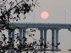 -宝安西湾红树林湿地公园