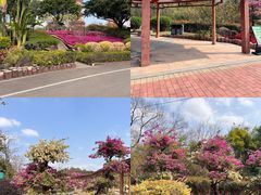 -广州莲花山旅游区
