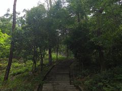 -火炉山森林公园