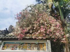 -深圳国际园林花卉博览园