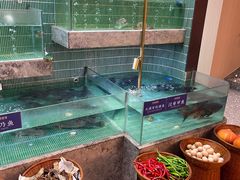 -鱼你相聚·河鲜馆(袁家岭店)