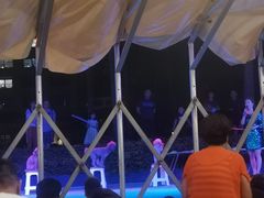 -渔家火锅·海鲜自助餐·演艺(亚龙湾天域酒店)