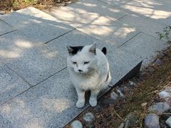 -北京凤凰岭