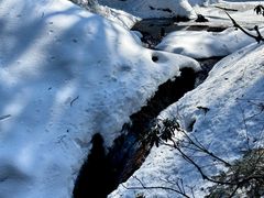 -龙苍沟森林公园