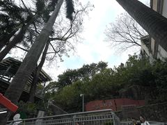 -佛山华盖山公园