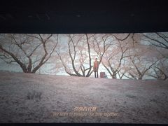 -南宁时代电影大世界(CGS激光中国巨幕)