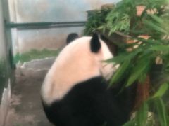 -无锡动物园·太湖欢乐园