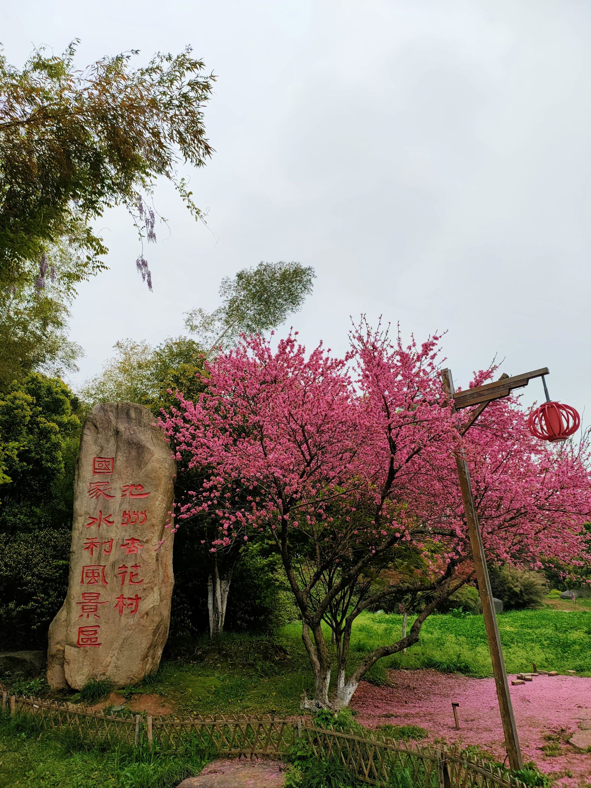 安徽池州杏花村鲜花盛开🌸,湖水荡漾,景色美