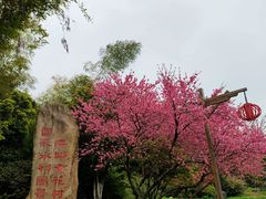 -杏花村文化旅游区