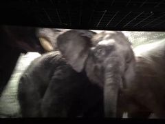 -万达影城(安吉万达广场IMAX店)