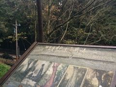 -阿里山神木遗迹