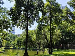 -晓港公园