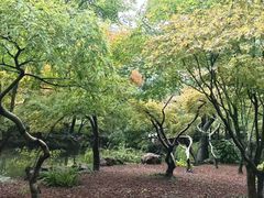 -秋霞圃