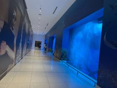 -迪拜水族馆及水下动物园