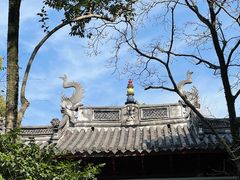 -天一阁博物院
