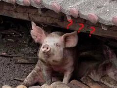 -韩厨烤肉火锅无限自助餐厅(潮流特区店)