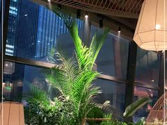 -大头椰·椰子鸡火锅(南宁万象城店)