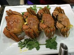 -金碧轩粤菜海鲜大酒楼