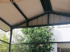 -遇见小院—虹鳟鱼•农家菜(怀柔店)