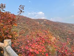 -周口店坡峰岭风景区