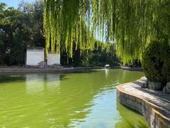 -团结湖公园