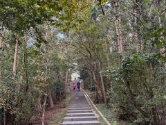 -冶父山国家森林公园